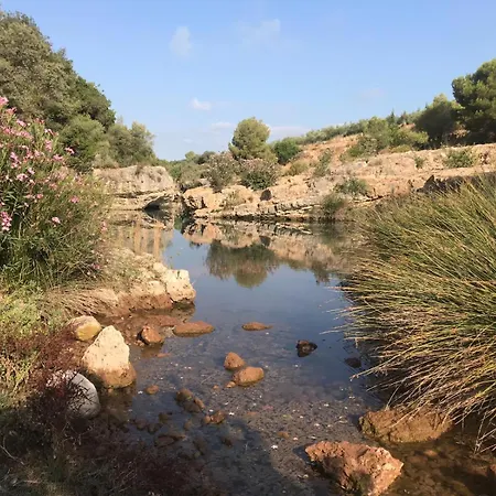 Rurales Fuente De Marzo *